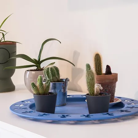 Apartamento Riní House,casa Elegante Affacciata Sulla Valle Umbra Fornole