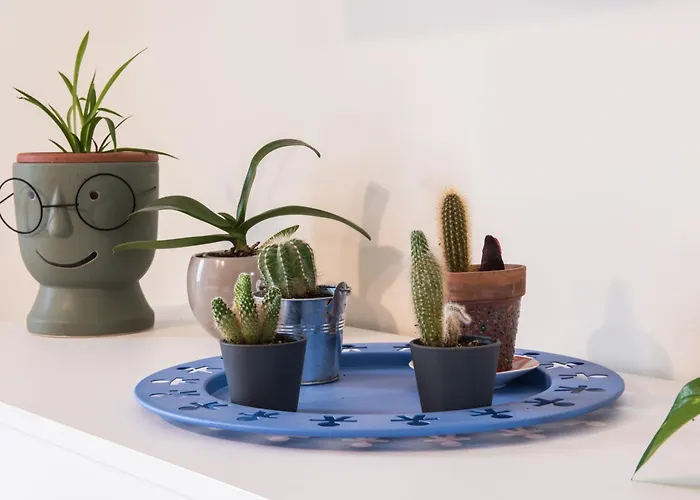 Apartment Rini House,casa Elegante Affacciata Sulla Valle Umbra Fornole